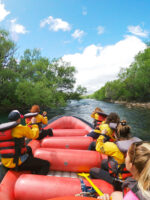 Rafting en Río Limay desde Bariloche: Naturaleza, Aventura y Estepa Patagónica - Imagen 4