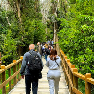Seguro de Cancelación – Cancelá tu excursión sin perder todo el valor