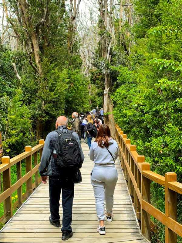 Seguro de Cancelación – Cancelá tu excursión sin perder todo el valor - Imagen 1