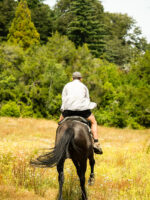 Cabalgata por Coihues: Paseo a Caballo en Medio de la Naturaleza Patagónica - Imagen 4
