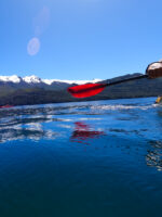 Excursión en Kayak por el Lago Gutiérrez desde Bariloche con Traslado Incluido - Imagen 2