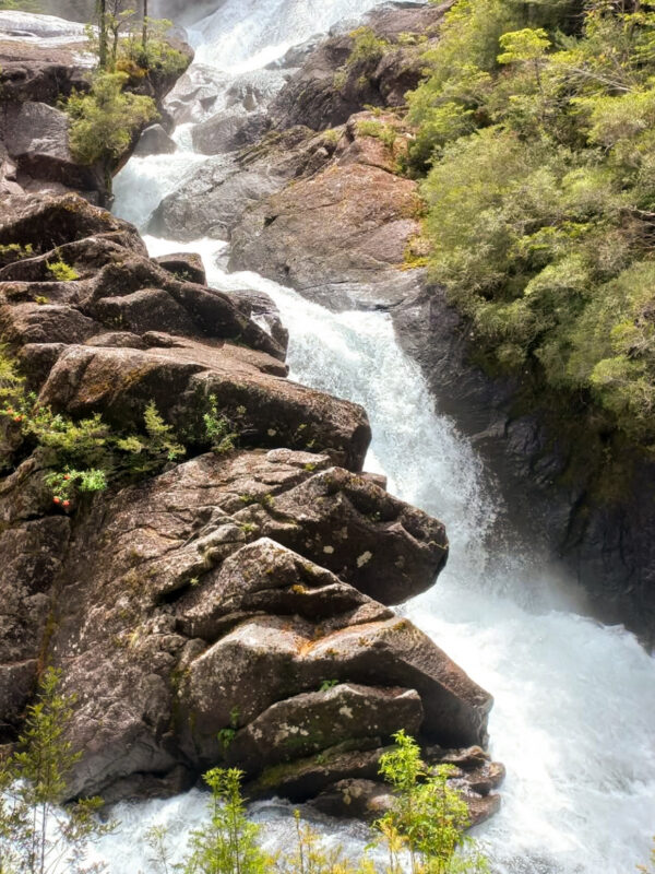 Puerto Blest y Cascada “Los Cantaros” + Lago Frias sin Traslado - Imagen 4