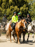 Cabalgata por Coihues: Paseo a Caballo en Medio de la Naturaleza Patagónica