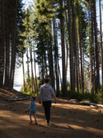 Navegación por Nahuel Huapi: Isla Victoria y Bosque de Arrayanes sin traslado