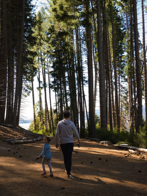 Navegación por Nahuel Huapi: Isla Victoria y Bosque de Arrayanes sin traslado - Imagen 1