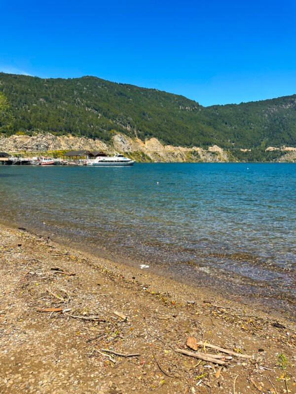 San Martín de los Andes por los 7 Lagos: Naturaleza, Miradores y Postales Únicas de la Patagonia - Imagen 4