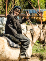 Cabalgata por Coihues: Paseo a Caballo en Medio de la Naturaleza Patagónica - Imagen 3