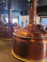 Bariloche Beer Experience - Imagen 5